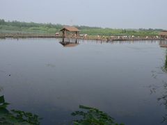 -溱湖国家湿地公园