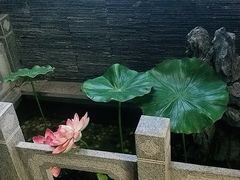 -知足堂养生会所(碑亭巷店)