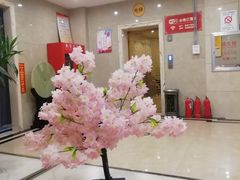 -青藤汗蒸时代会所