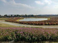 -径山花海
