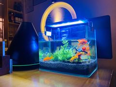 -本寻烧肉酒场(双井店)