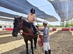 -北京群众马术培训基地