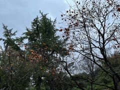 -丹山赤水风景名胜区