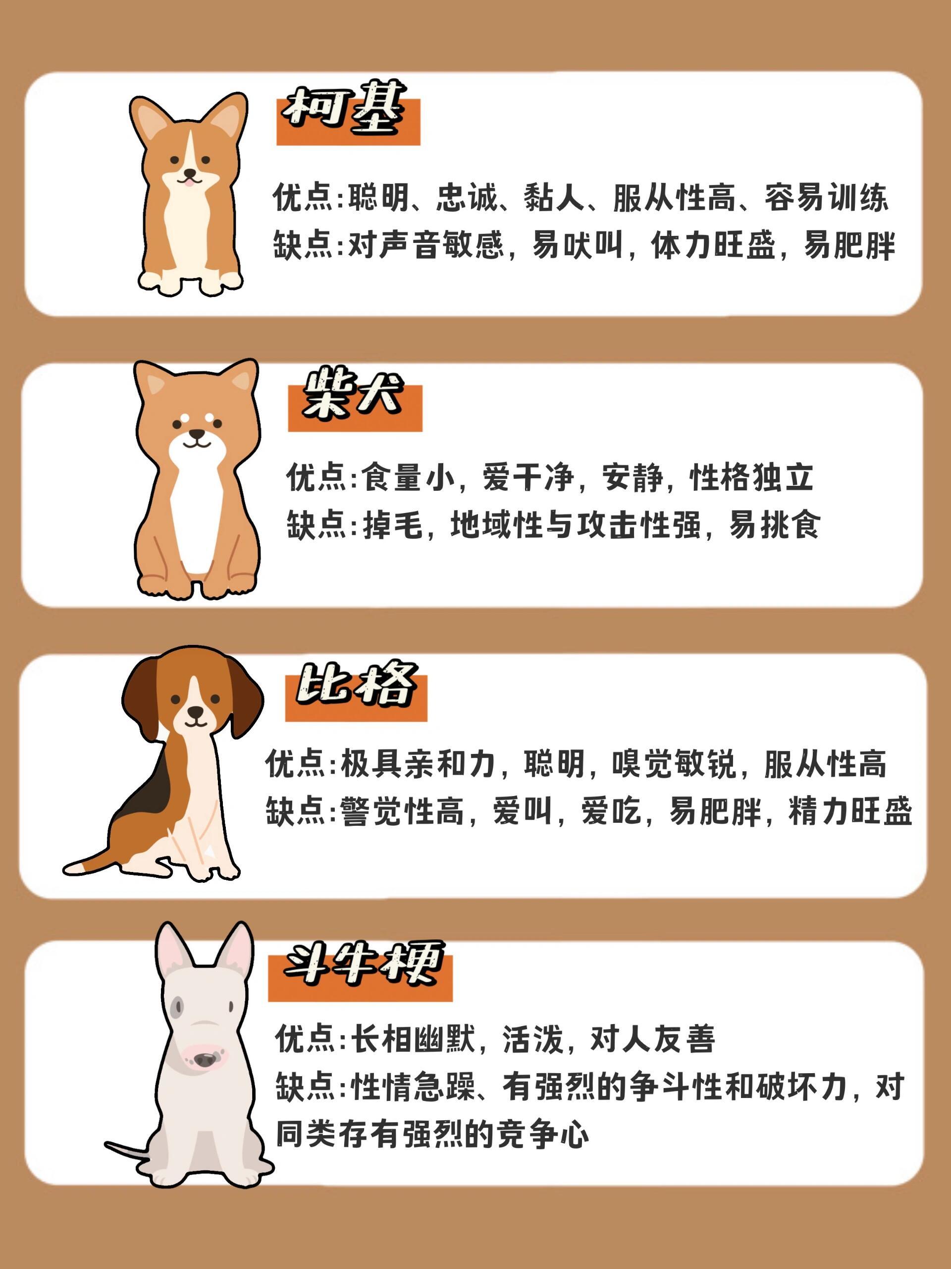 包含狗狗超度的意义和方法的词条 包含狗狗超度的意义和方法的词条