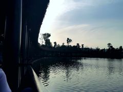 -枫香湖儿童公园