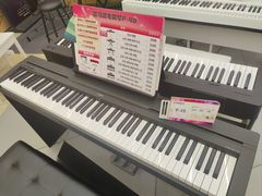-雅马哈乐器专卖店(广州旗舰店)