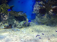 -福州罗源湾海洋世界旅游区