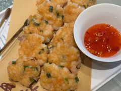-海派美食·家宴海鲜青岛菜·石锅鲽鱼头(东方城店)