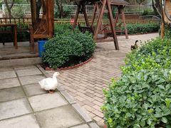 -太阳宫公园