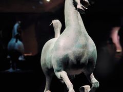 -甘肃省博物馆