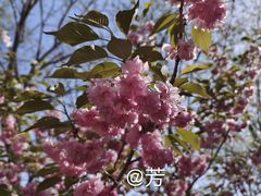 -南海子公园