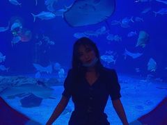 -烟台海昌鲸鲨海洋公园