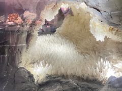 -湖南省地质博物馆