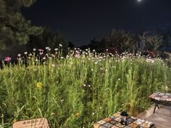 -莫子山公园