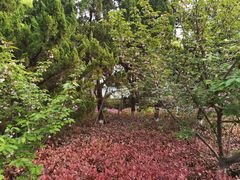 -大蜀山国家森林公园