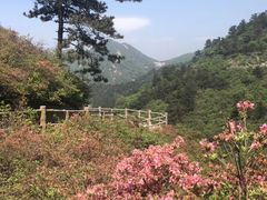 -木兰云雾山