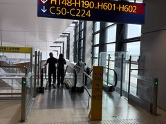 -上海浦东国际机场-T2航站楼