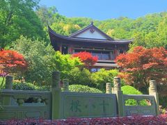 -十八棵（老龙井）御茶园(老龙井店)