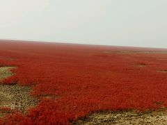 -红海滩国家风景廊道