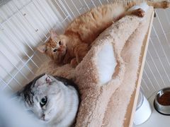 -闸弄口(地铁站)