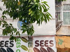 -喜柿咖啡SeeS coffee