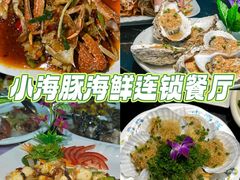 -亚龙湾热带天堂森林公园