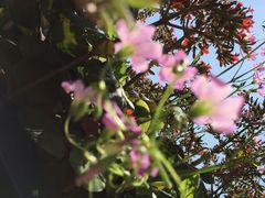 -金逸影城(中山远洋城IMAX店)