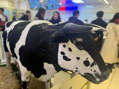 -红星前进面包牛奶公司(君太店)