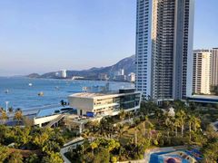 -广东惠东海龟国家级自然保护区