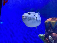 -南昌融创海世界