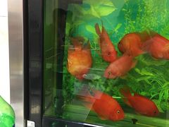 -胖姐烧烤(总店)