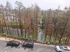 -寻味顺德·珍之宝酒楼(银钻店)