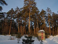 景点-美人松苑