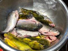 -白城车站店一九二八铁锅炖