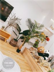-牛油果儿童摄影