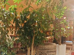 -慢丽江·云南野生菌土鸡锅(付家庄店)
