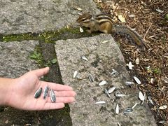 -五营红松林海景区