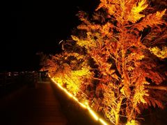 -青岛第三海水浴场