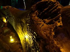 -乐山乌木文化博览苑