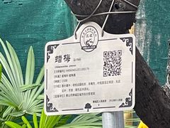 -梁园