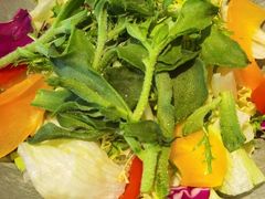 什锦蔬菜沙拉-双湖园·地标武汉菜(黄鹤楼解放路店)