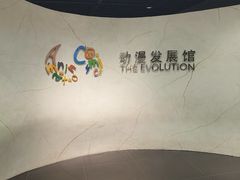 -上海动漫博物馆