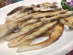 -欢乐海岸美食联盟