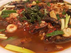 -院8里·小聚园老川菜(九眼桥店)