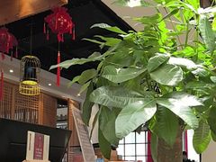 -壹零捌道·北京烤鸭(车公庄店)