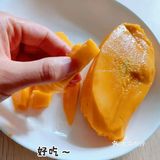 热带风情～网购鹰嘴芒