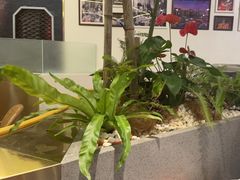 -小乌猪·金华筒骨煲(永盛购物广场店)