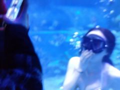 -乌鲁木齐海洋馆