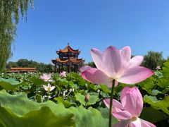 -南戴河国际娱乐中心