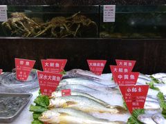 -宝燕壹号(徐汇店)